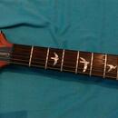 PRS SE Custom 22