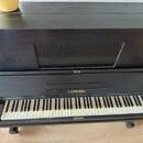 Daruji za odvoz pianino značky Leoš Schejbal