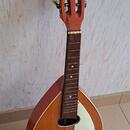 Mandolína 8 strun