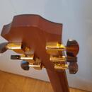 Furch S 23-CR cut