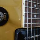Epiphone Les Paul Special TV Yellow ZÁRUKA