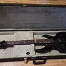 Elektrická kytara ESP LTD FRX-401 Black