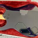 Ibanez RGA321F SBS Prestige + Bare Knuckle Black Hawk