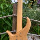 F bass BN5