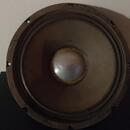 EMINENCE M12L Square Back 78'