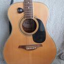 Kytara Vintage V-300
