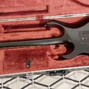 Ibanez rgt 42,Korea, Top stav