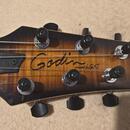 Godin LGXT