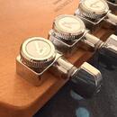 Fender Stratocaster player Mexico