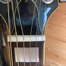 Ibanez Conord 752