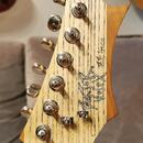 Original DOKTOR VOLOX Guitar Handcrafted Custom