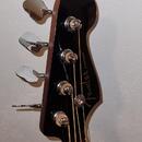 Fender Kingman Acoustic Bass v2