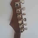 Aria Nashville tele