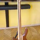 Baskytara Cort A5