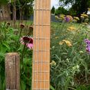 F bass BN5