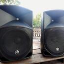 Mackie THUMP 12