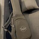 Taylor bt-1e
