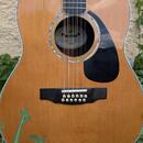 Furch ovation 12 strunná Z-122-1 MASIV