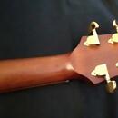 Crafter DLXE 3000 CD/RS + kufr