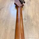 Harley Benton Fusion-III HH HT Roasted – Sparkle Pink – TOP 