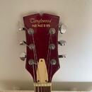 Tanglewood Memphis 