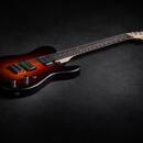 Poul Guitars Tele