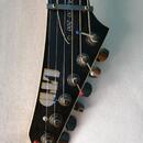 ESP LTD za Jackson