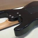 Washburn RX10