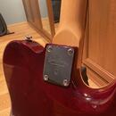 Levoruký Sire Larry Carlton T7TM Natural
