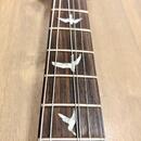 PRS SE Custom 24 VS (2019, Korea) + Seymour Duncan SH-6 Set