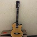 Kytara Angel Lopez(Stagg) piezo+humbucker