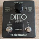 Černý kytarový pedál s nápisy DITTO LOOPER a tc electronic. Horní část obsahuje ovratový knoflík s popiskem LOOP LEVEL a dvě textová pole s funkcemi…