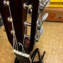 Kytara Angel Lopez(Stagg) piezo+humbucker