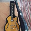 Ibanez pm 2aa