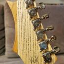 Original DOKTOR VOLOX Guitar Handcrafted Custom