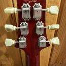 PRS SC 245