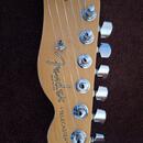 Fender American Standard telecaster s kufrem