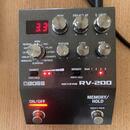 Boss RV-200