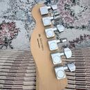 Fender Telecaster Standard 2016 MIM + puzdro