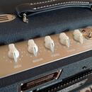 Laney Lionheart L20H - možná výměna