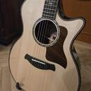 Taylor 814ce builders