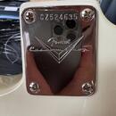 Fender Eric Clapton MB OW AAA #381560