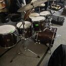 YAMAHA maple custom absolute (Japan)
