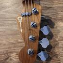 Charvel Pro Mod San Dimas PJ IV