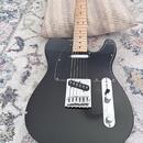 Fender Telecaster Standard 2016 MIM + puzdro