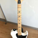 PRS SE NF53 MN, Pearl White (2026)