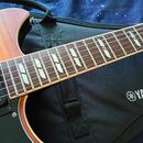 Yamaha Revstar RS620 . Upgrady !