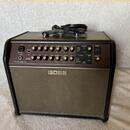 Boss Acoustic Singer Pro
