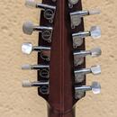 Furch ovation 12 strunná Z-122-1 MASIV
