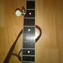 Bluegrassové banjo Čapek